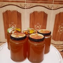 عسل السدر