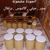 عسل الجرجير