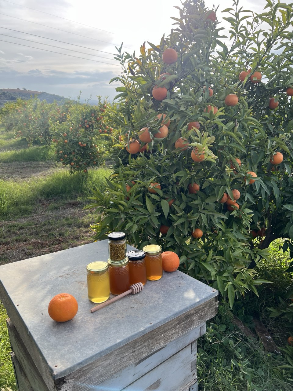 باقة منتجات العسل الطبيعي