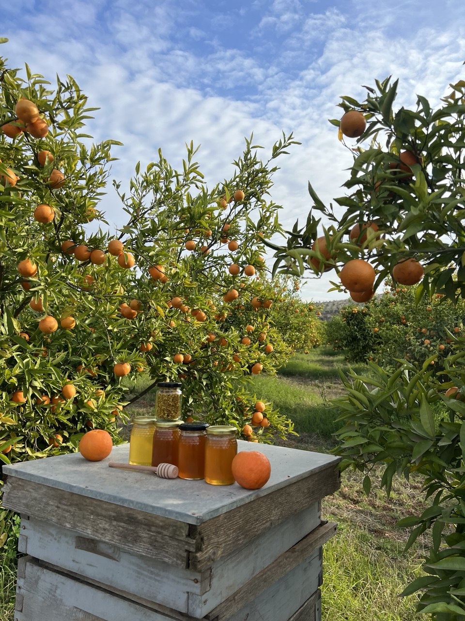 باقة منتجات العسل الطبيعي