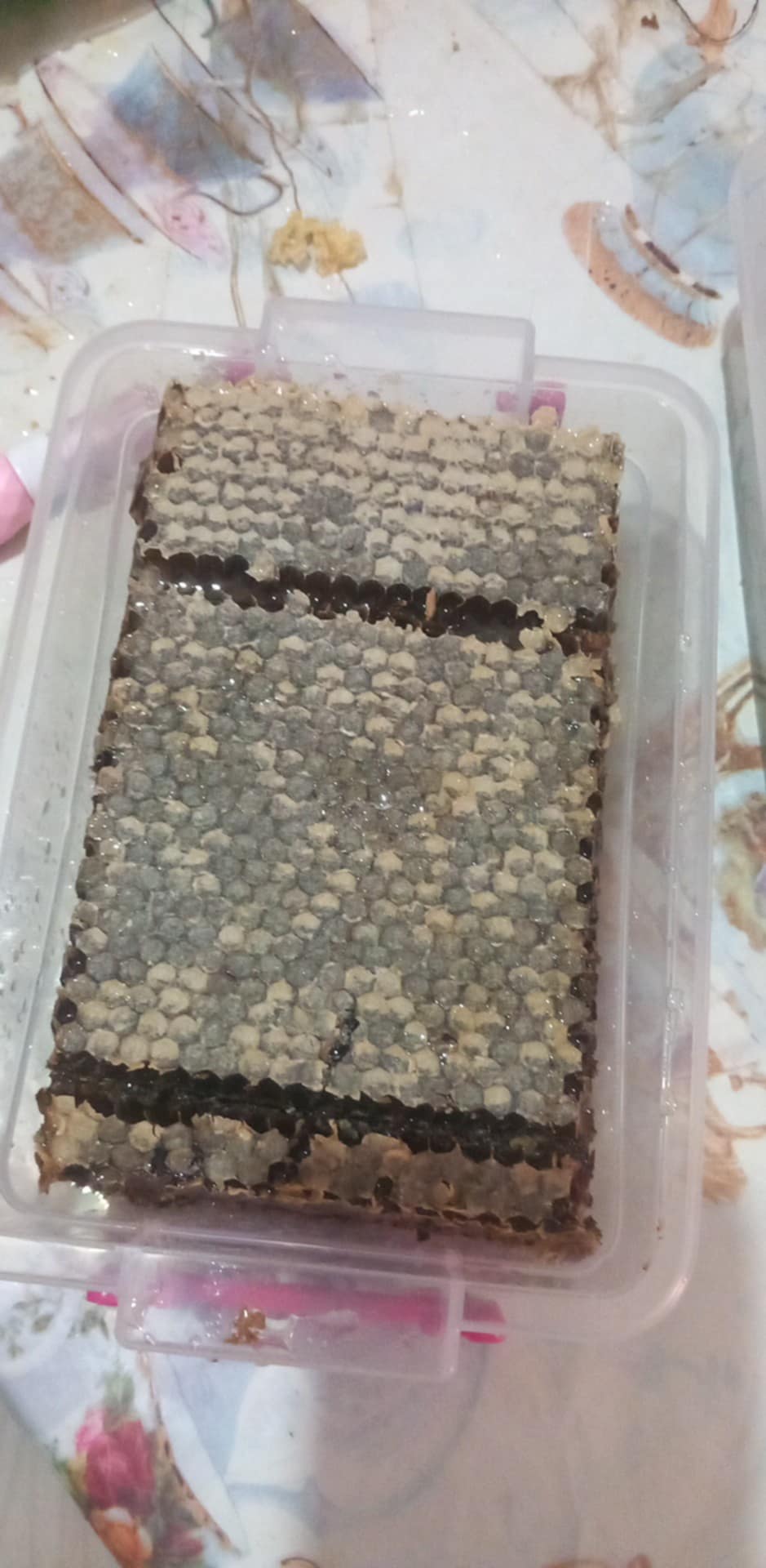 عسل بالشهدة